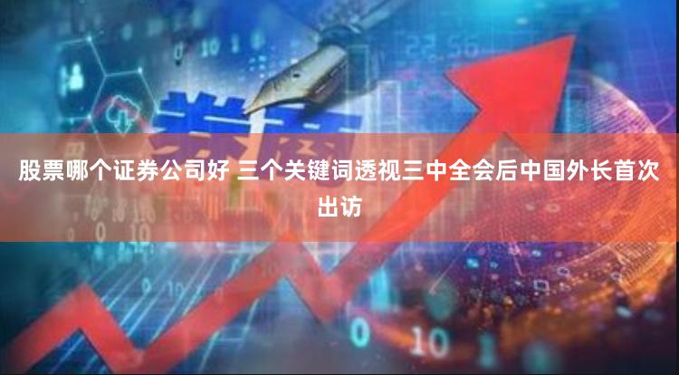 股票哪个证券公司好 三个关键词透视三中全会后中国外长首次出访