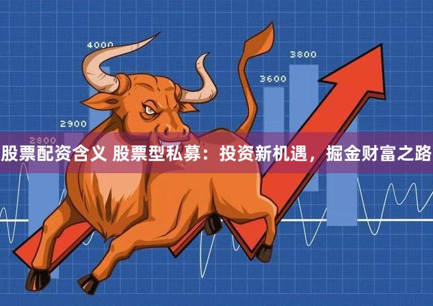 股票配资含义 股票型私募：投资新机遇，掘金财富之路