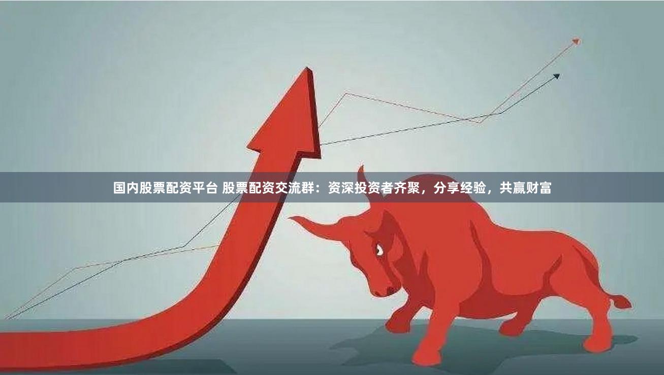 国内股票配资平台 股票配资交流群：资深投资者齐聚，分享经验，共赢财富